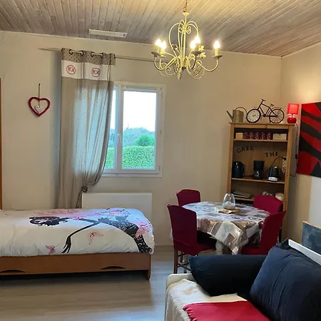 公寓 Ravissant T2, Cl 3 Etoiles, 3 Pers Et 1 Enf , 3 Lits, Parking Et Patio Saint-Sever (Landes)